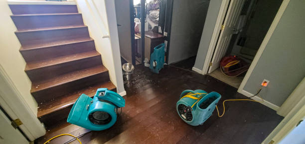 Best Sewage cleanup and water damage restoration  in Chinook, MT