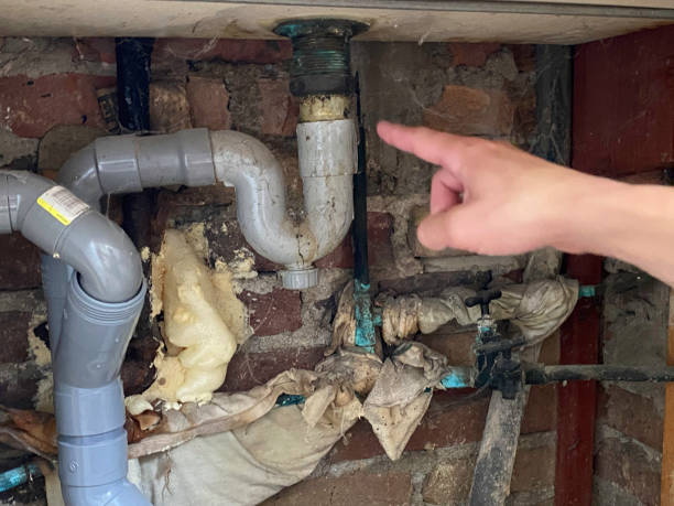  Chinook, MT Water damage restoration Pros