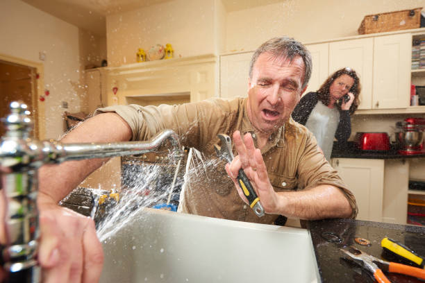 Best Flood damage cleanup  in Chinook, MT